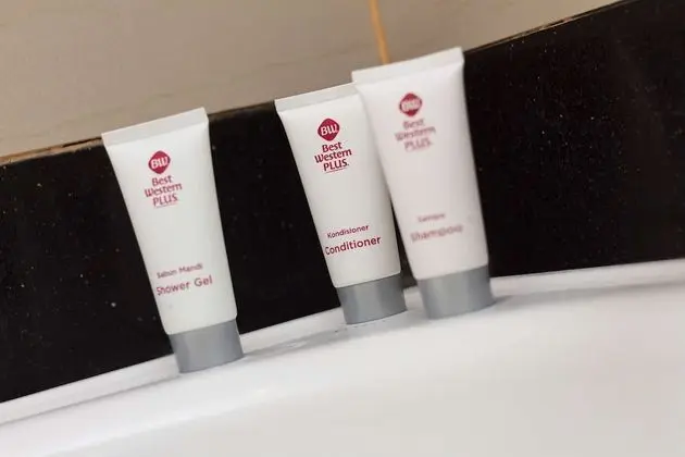 Superior Oda, 1 Çift Kişilik Yatak, Sigara İçilmez, Şehir Manzaralı (Shower Only)