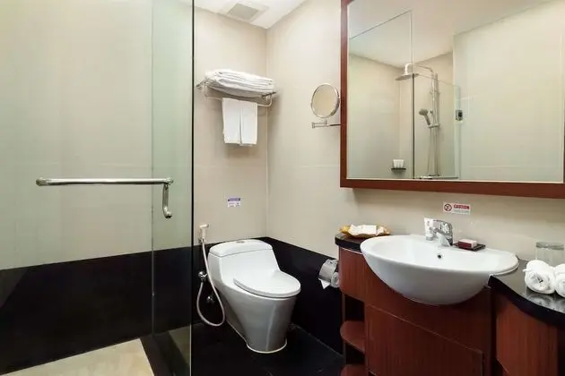 Superior Oda, 1 Çift Kişilik Yatak, Sigara İçilmez, Şehir Manzaralı (Shower Only)