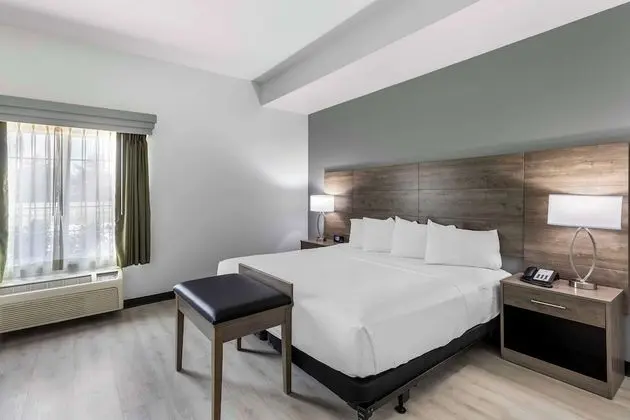 Süit, 1 En Büyük (King) Boy Yatak, Engellilere Uygun, Sigara İçilmez (Walk-in Shower;with Sofabed)