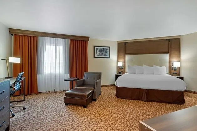 Standard Oda, 1 En Büyük (King) Boy Yatak, Sigara İçilmez, Buzdolabı ve Mikrodalga (Oversized Room)