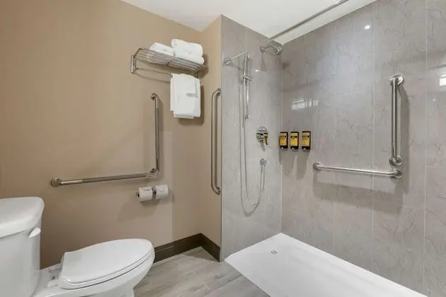 Standard Oda, 1 En Büyük (King) Boy Yatak, Engellilere Uygun, Ek Bina (Walk-in Shower)