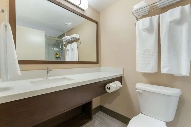 Standard Oda, 1 En Büyük (King) Boy Yatak, Sigara İçilmez, Ek Bina (Walk-in Shower)