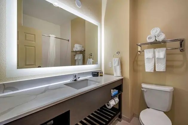 Standard Oda, 1 En Büyük (King) Boy Yatak, Sigara İçilmez, Buzdolabı ve Mikrodalga