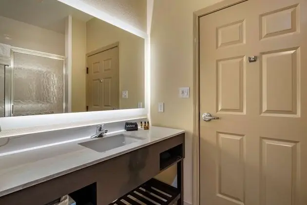 Süit, 1 En Büyük (King) Boy Yatak, Engellilere Uygun, Sigara İçilmez (Walk-in Shower;with Sofabed)