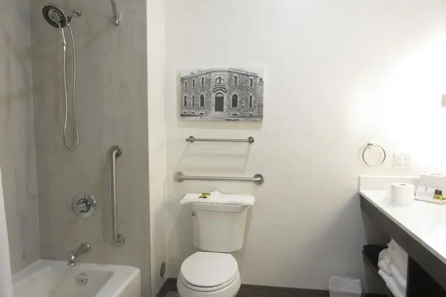 Süit, Birden Çok Yatak, Engellilere Uygun, Buzdolabı ve Mikrodalga (with Sofabed)
