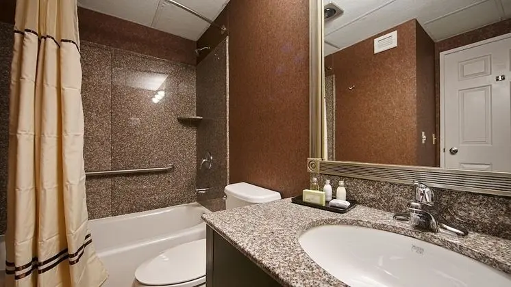 Deluxe Süit, 1 En Büyük (King) Boy Yatak, Sigara İçilmez, Küçük Mutfak
