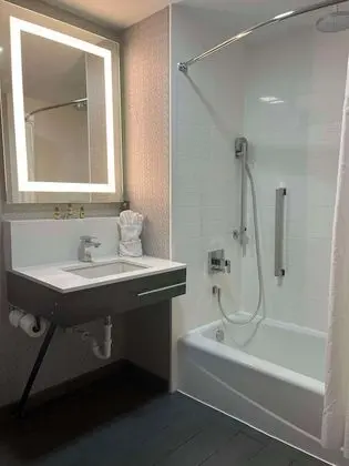 Standard Oda, 1 En Büyük (King) Boy Yatak, Engellilere Uygun, Küvet (with Sofabed)