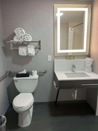 Standard Oda, 1 En Büyük (King) Boy Yatak, Engellilere Uygun, Küvet (with Sofabed)