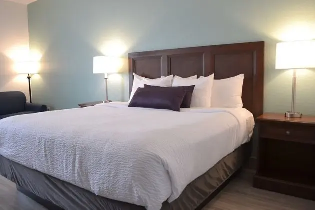 Standard Oda, 1 En Büyük (King) Boy Yatak, Sigara İçilmez (Oversized Room;with Sofabed)