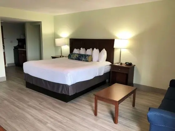 Standard Oda, 1 En Büyük (King) Boy Yatak, Sigara İçilmez (Oversized Room;with Sofabed)