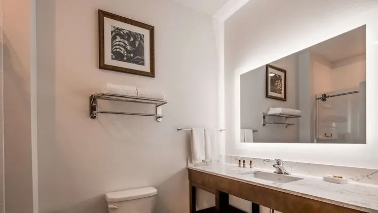 Standard Oda, 1 En Büyük (King) Boy Yatak, Sigara İçilmez, Mikrodalga