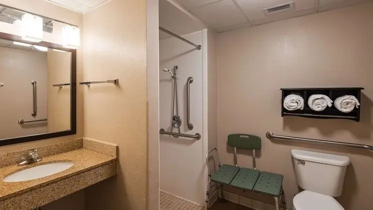 Standard Oda, 2 Büyük (Queen) Boy Yatak, Engellilere Uygun, Sigara İçilmez (Walk-in Shower)