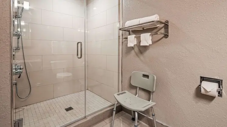 Süit, 1 En Büyük (King) Boy Yatak, Engellilere Uygun, Sigara İçilmez (Walk-in Shower;with Sofabed)