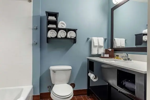Standard Oda, 1 En Büyük (King) Boy Yatak, Sigara İçilmez, Buzdolabı ve Mikrodalga