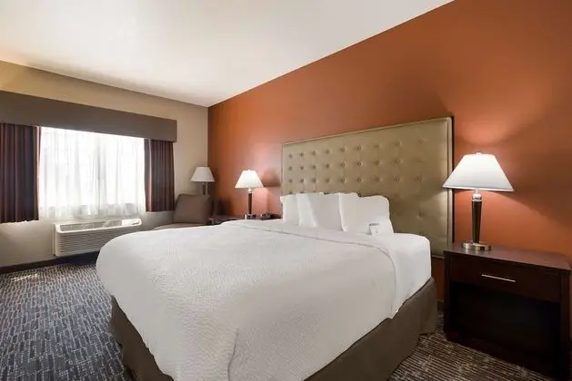 Standard Oda, 1 En Büyük (King) Boy Yatak, Sigara İçilmez, Buzdolabı ve Mikrodalga (Pet Friendly)