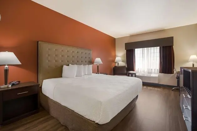 Standard Oda, 1 En Büyük (King) Boy Yatak, Sigara İçilmez, Buzdolabı ve Mikrodalga (Pet Friendly)