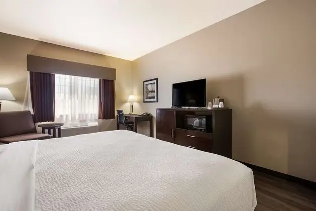 Standard Oda, 1 En Büyük (King) Boy Yatak, Sigara İçilmez, Buzdolabı ve Mikrodalga (Pet Friendly)