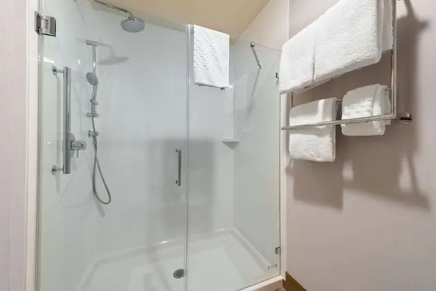 Executive Oda, 1 En Büyük (King) Boy Yatak, Sigara İçilmez, Buzdolabı (Shower Only)
