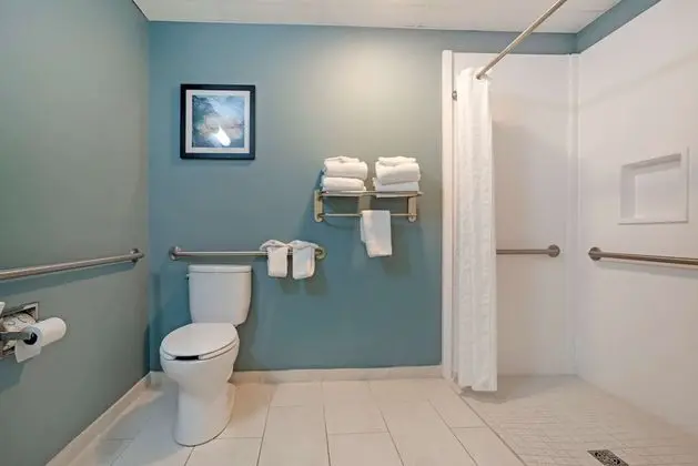 Standard Oda, 1 En Büyük (King) Boy Yatak, Engellilere Uygun, Balkon (Walk-in Shower;with Sofabed)