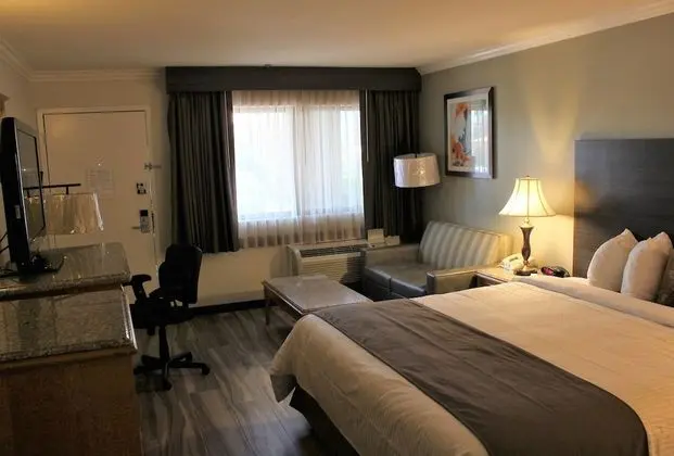 Standard Oda, 1 En Büyük (King) Boy Yatak, Engellilere Uygun, Sigara İçilmez (Walk-in Shower)
