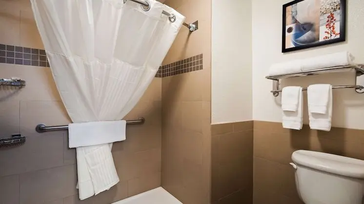 Standard Oda, 1 En Büyük (King) Boy Yatak, Engellilere Uygun, Sigara İçilmez (Walk-in Shower)