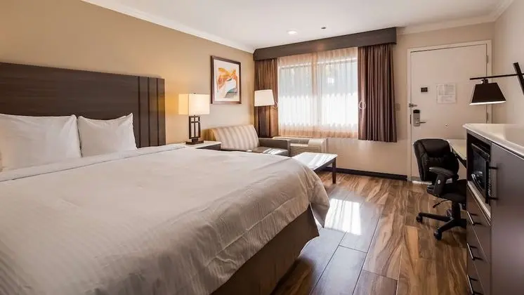 Standard Oda, 1 En Büyük (King) Boy Yatak, Engellilere Uygun, Sigara İçilmez (Walk-in Shower)