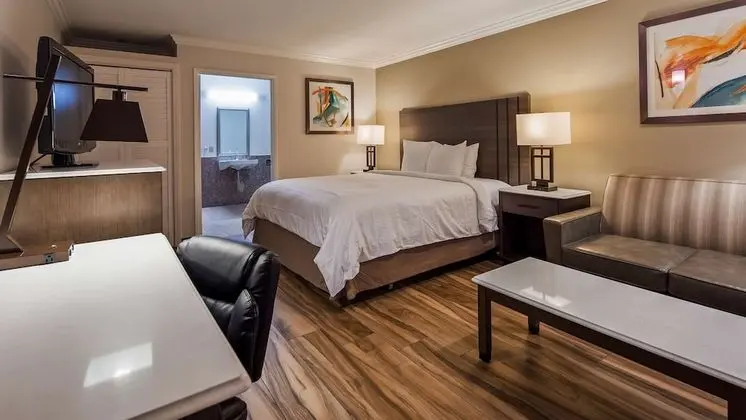 Standard Oda, 1 En Büyük (King) Boy Yatak, Engellilere Uygun, Sigara İçilmez (Walk-in Shower)