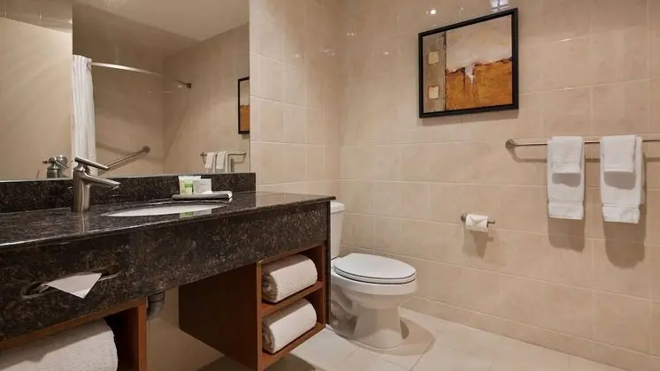 Süit, 1 En Büyük (King) Boy Yatak, Sigara İçilmez, Küçük Mutfak (Shower Only;with Sofabed)