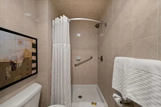 Süit, 1 En Büyük (King) Boy Yatak, Sigara İçilmez, Küçük Mutfak (Shower Only;with Sofabed)