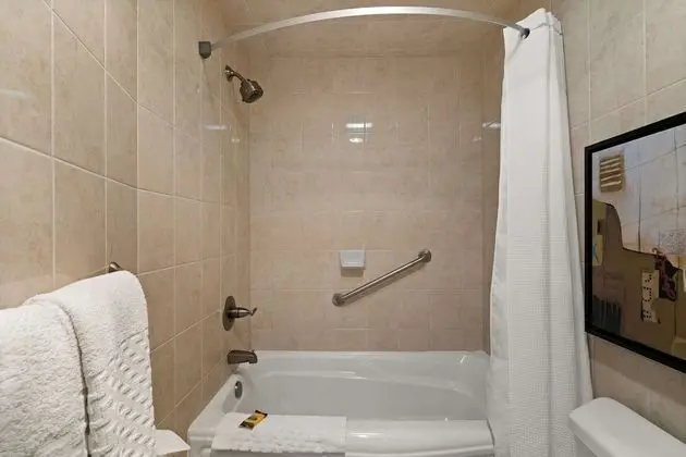 Süit, Birden Çok Yatak, Sigara İçilmez, Küçük Mutfak (with Sofabed)
