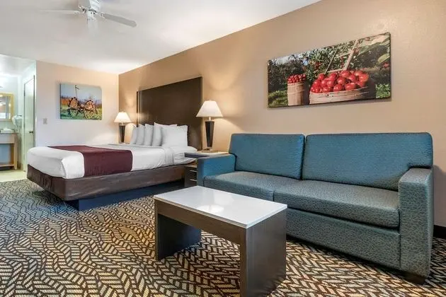 Standard Oda, 1 En Büyük (King) Boy Yatak, Sigara İçilmez, Sıcak Su Küveti (Oversized Room)