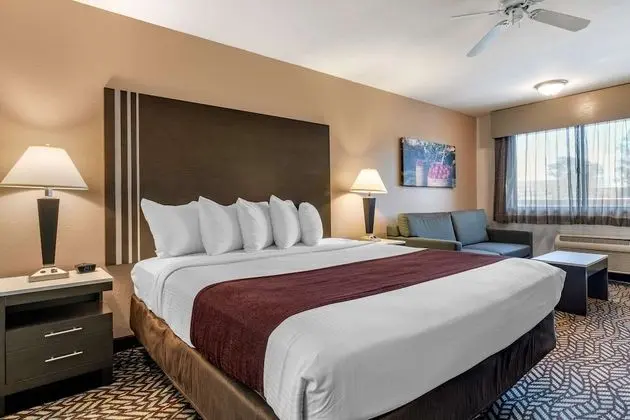 Standard Oda, 1 En Büyük (King) Boy Yatak, Sigara İçilmez, Sıcak Su Küveti (Oversized Room)