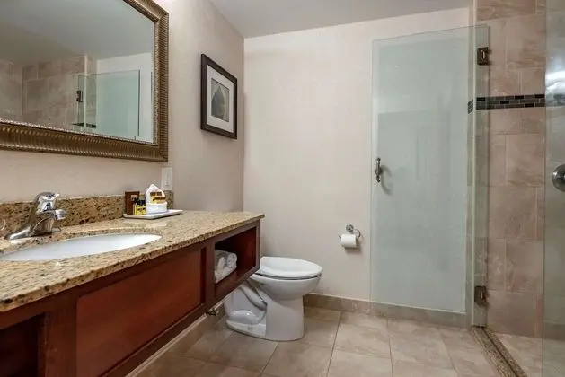 Standard Oda, 2 Büyük (Queen) Boy Yatak, Buzdolabı ve Mikrodalga, Şehir Manzaralı