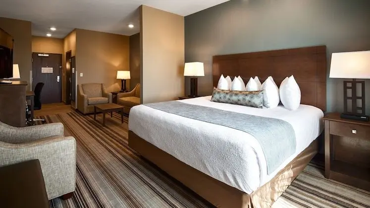 Süit, 1 En Büyük (King) Boy Yatak, Sigara İçilmez, Buzdolabı ve Mikrodalga