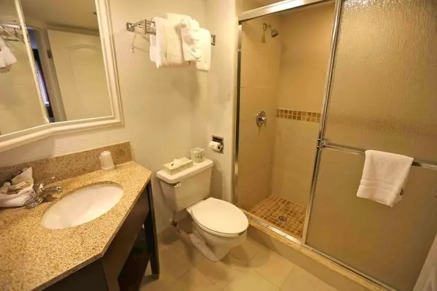 Süit, 1 En Büyük (King) Boy Yatak, Sigara İçilmez (Shower Only;with Sofabed)
