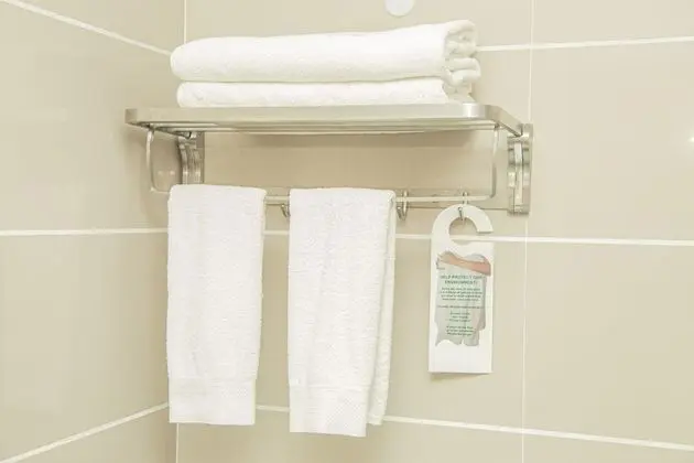 Standard Oda, 1 En Büyük (King) Boy Yatak, Sigara İçilmez, Şehir Manzaralı