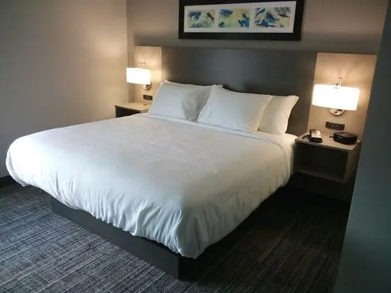 Standard Oda, 1 En Büyük (King) Boy Yatak, Sigara İçilmez