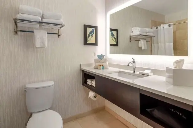 Standard Oda, 1 En Büyük (King) Boy Yatak, Sigara İçilmez