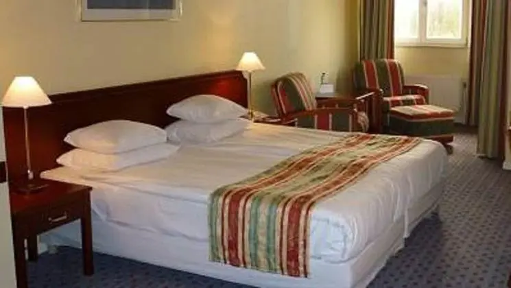 Deluxe Oda, 2 Tek Kişilik Yatak, Sigara İçilmez