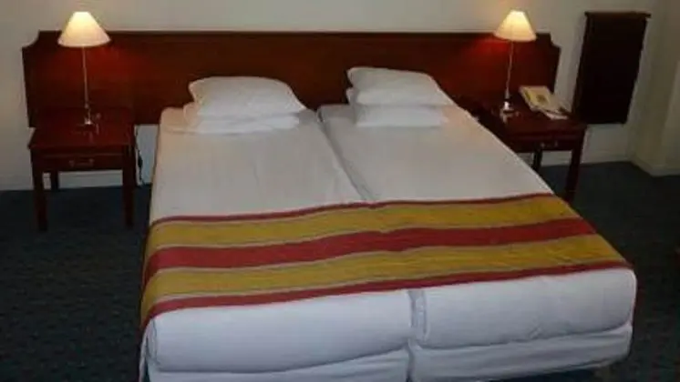 Deluxe Oda, 2 Tek Kişilik Yatak, Sigara İçilmez