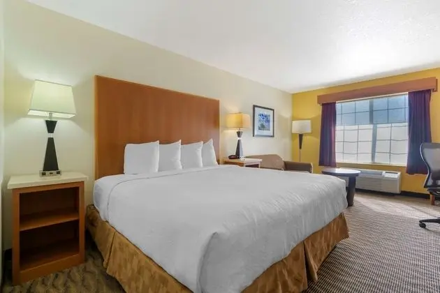 Deluxe Oda, 1 En Büyük (King) Boy Yatak, Sigara İçilmez, Buzdolabı ve Mikrodalga (Pet Friendly)
