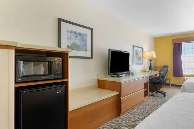Deluxe Oda, 1 En Büyük (King) Boy Yatak, Sigara İçilmez, Buzdolabı ve Mikrodalga (Pet Friendly)