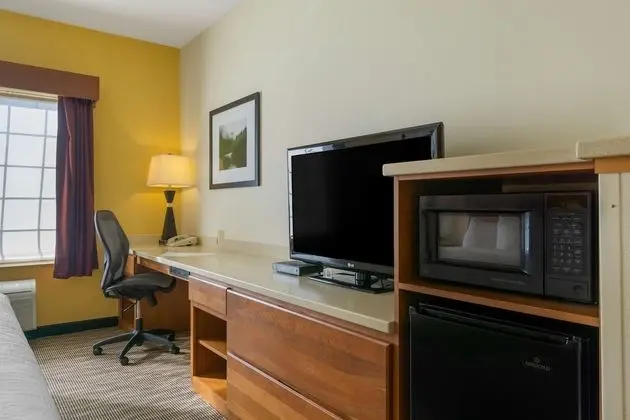 Deluxe Oda, 1 En Büyük (King) Boy Yatak, Sigara İçilmez, Buzdolabı ve Mikrodalga (Pet Friendly)