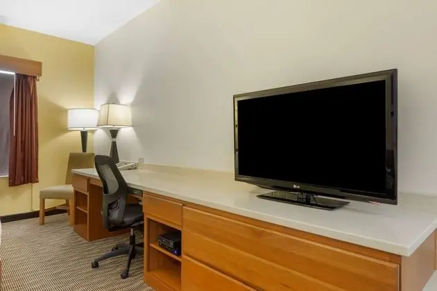 Deluxe Oda, 1 En Büyük (King) Boy Yatak, Sigara İçilmez, Buzdolabı ve Mikrodalga (Pet Friendly)