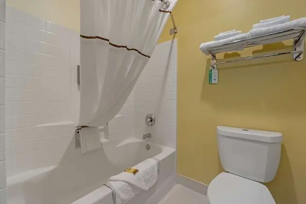 Deluxe Oda, 1 En Büyük (King) Boy Yatak, Sigara İçilmez, Buzdolabı ve Mikrodalga (Pet Friendly)