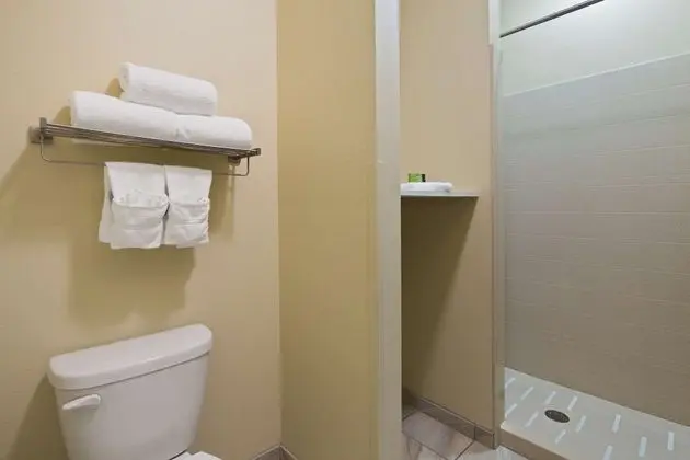Standard Oda, 1 En Büyük (King) Boy Yatak, Sigara İçilmez, Buzdolabı ve Mikrodalga (Shower Only)