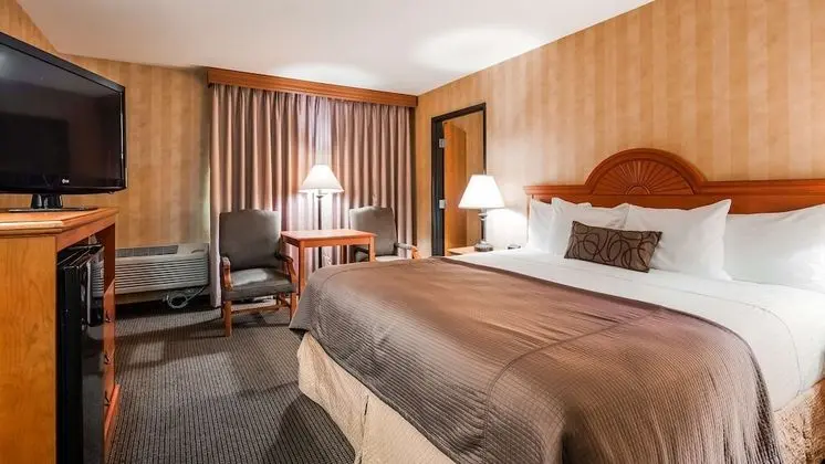 Standard Oda, 1 En Büyük (King) Boy Yatak, Sigara İçilmez, Buzdolabı ve Mikrodalga (Pet Friendly)