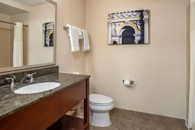 Standard Oda, 1 En Büyük (King) Boy Yatak, Engellilere Uygun, Sigara İçilmez (Walk-in Shower)