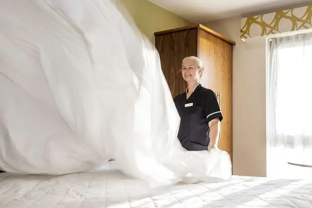 Executive Oda, 1 Çift Kişilik Yatak, Sigara İçilmez