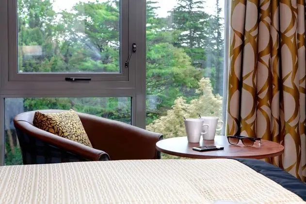 Executive Oda, 1 Çift Kişilik Yatak, Sigara İçilmez